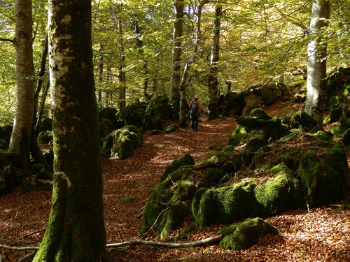 Parque Natural de Urbasa-Andía en Navarra