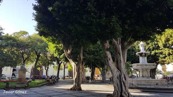Plaza del Adelantado en San Cristóbal de la Laguna